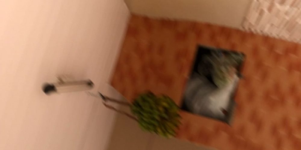 1537208688.jpg