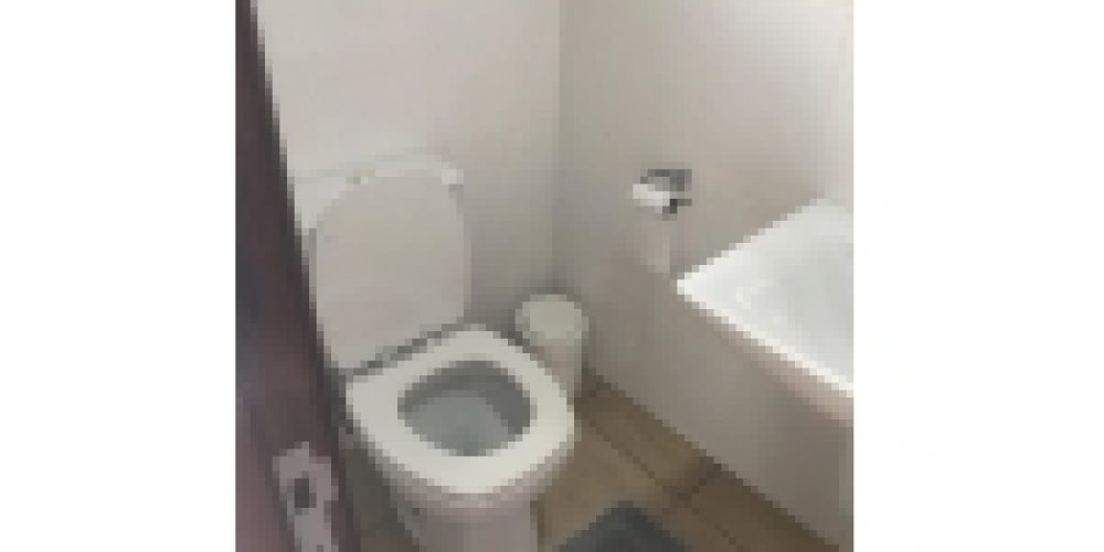 1565203219.jpg