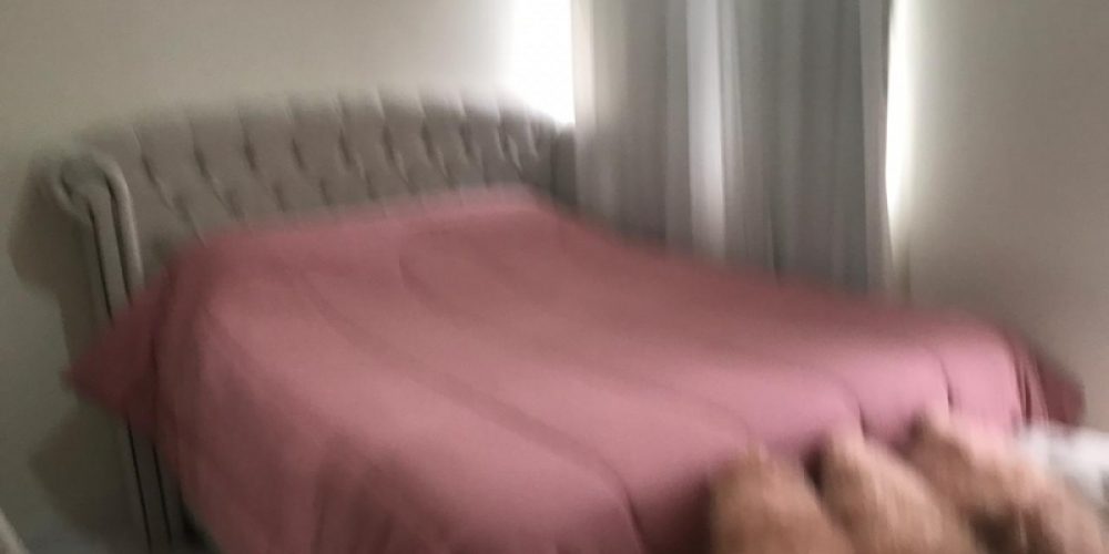 1602179511.jpg