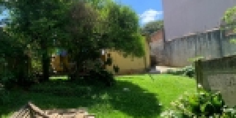 1635259290.jpg