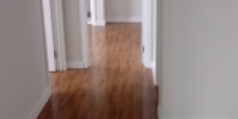 1649266523.jpg