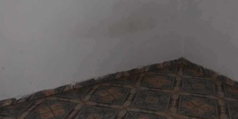 1653413379.jpg