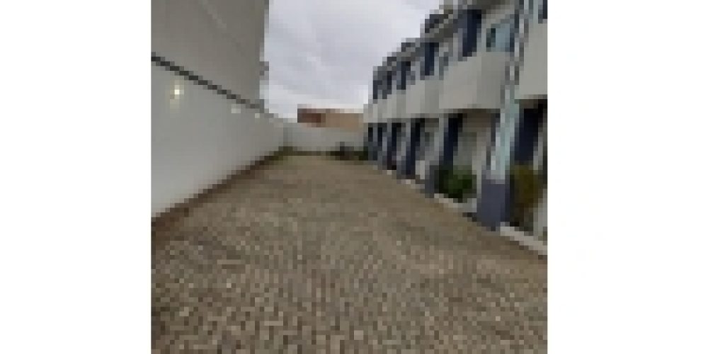1661359642.jpg