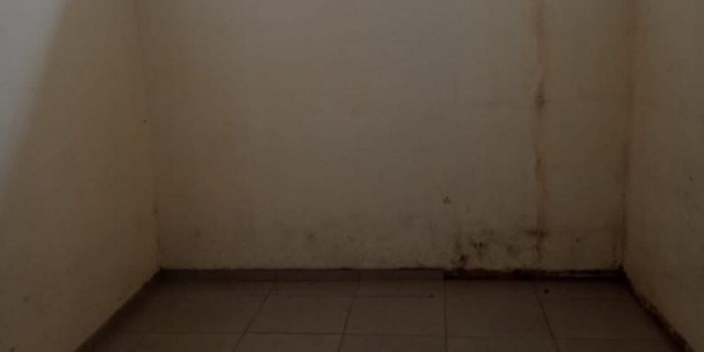 1663091046.jpg