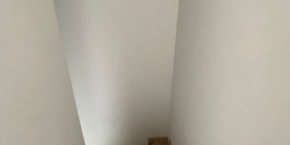 1666897609.jpg