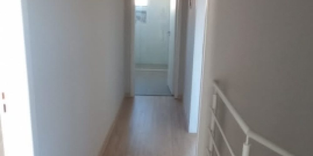 1674659417.jpg