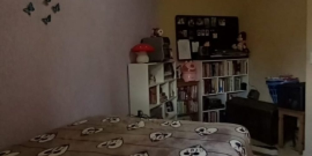 1690209387.jpg