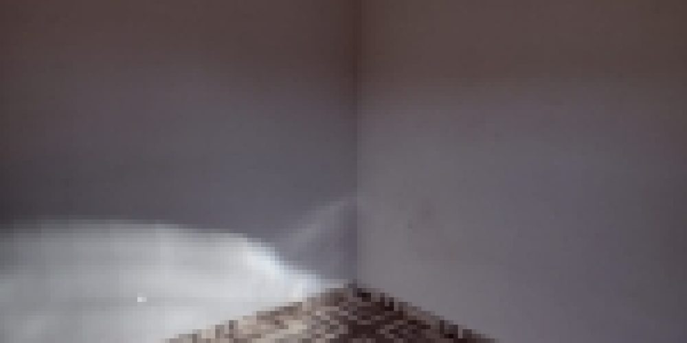 1715624520.jpg