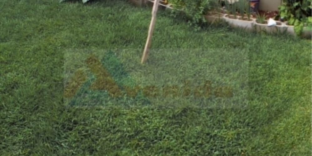 1718305777.jpg