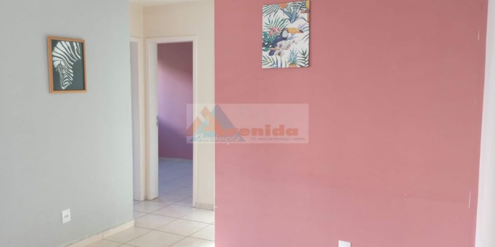 WhatsApp Image 2025-12-29 at 14.58.10 (2)