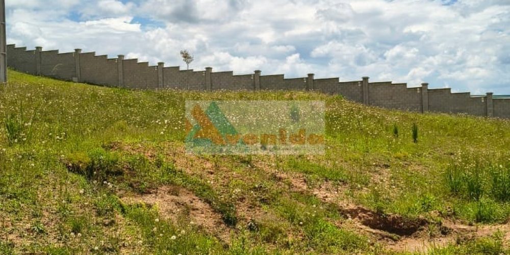 WhatsApp Image 2026-01-27 at 14.28.26 (1)