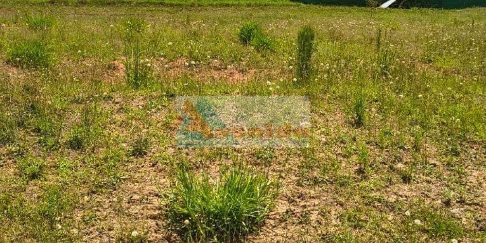 WhatsApp Image 2026-01-27 at 14.28.26 (2)