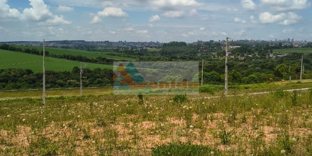 WhatsApp Image 2026-01-27 at 14.28.26