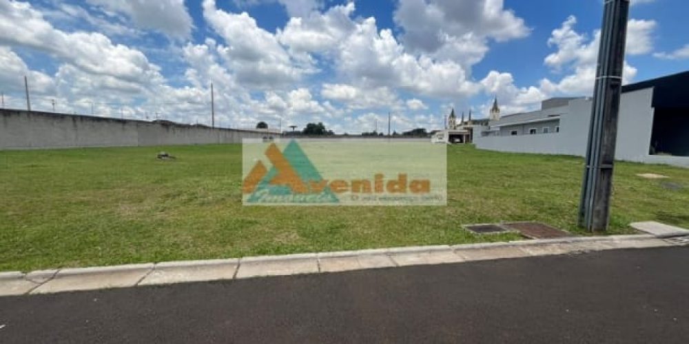 WhatsApp Image 2026-01-27 at 16.56.08 (2)