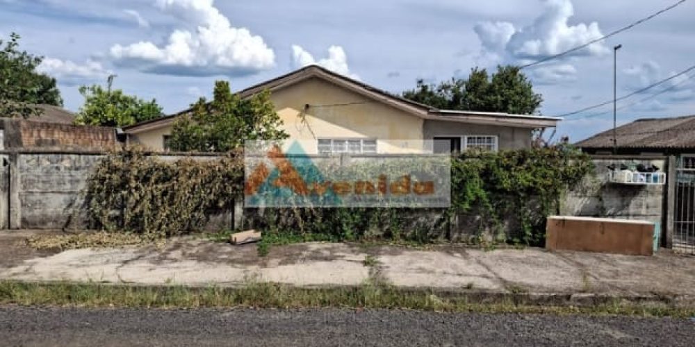 WhatsApp Image 2026-01-29 at 16.59.14