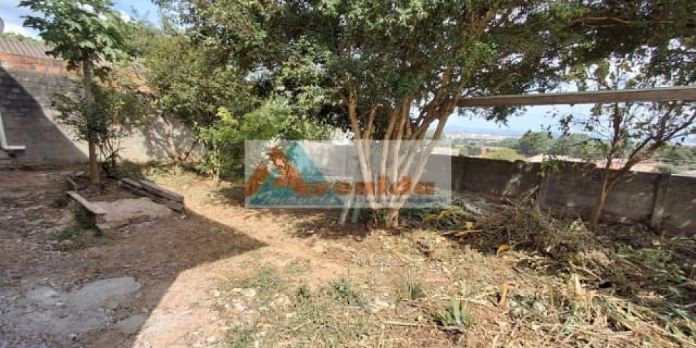 WhatsApp Image 2026-01-29 at 16.59.15 (1)