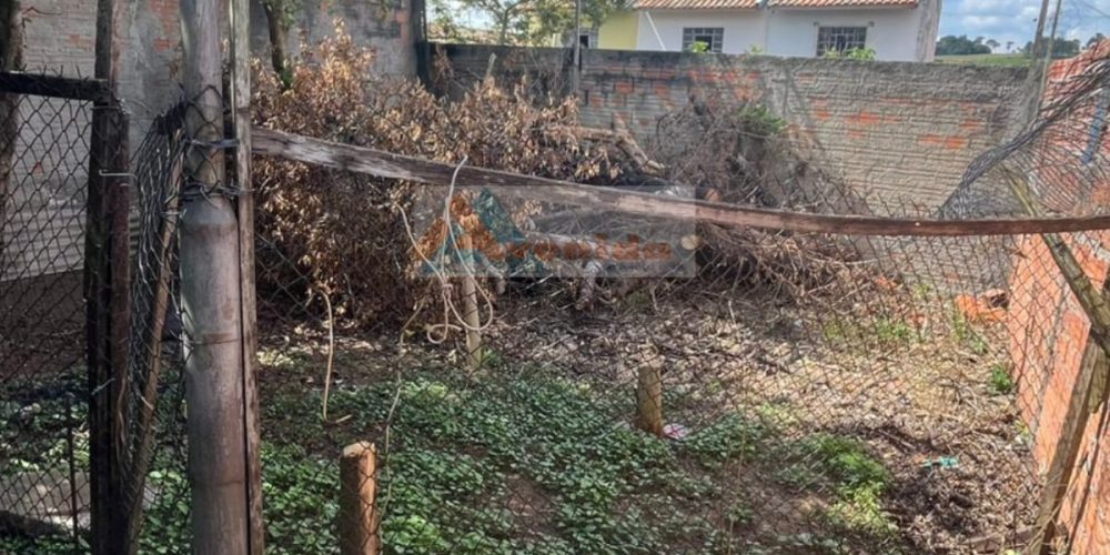 WhatsApp Image 2026-01-30 at 16.12.46