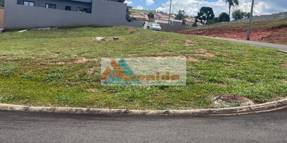 WhatsApp Image 2026-02-02 at 16.25.28