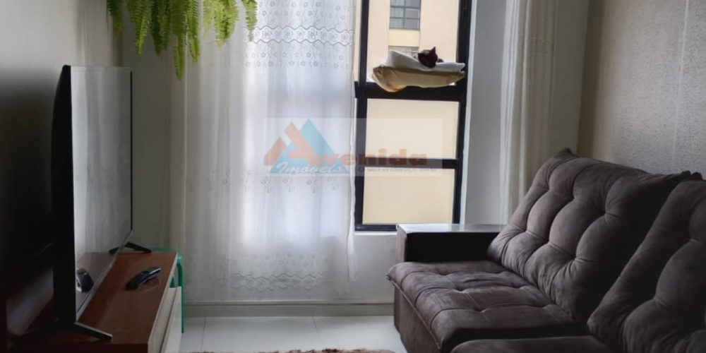 WhatsApp Image 2026-02-04 at 17.53.39 (2)