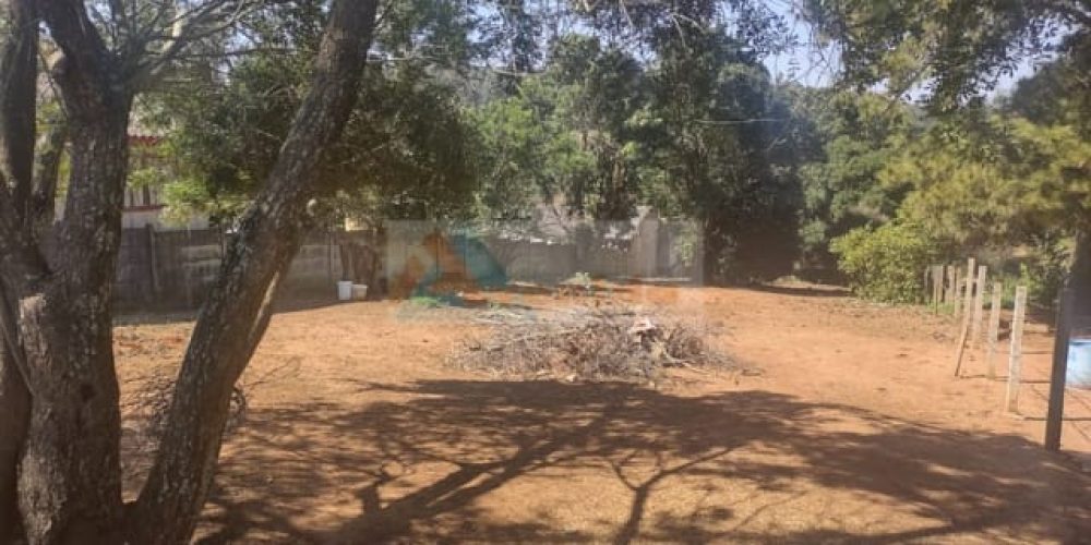 WhatsApp Image 2026-02-06 at 15.41.07