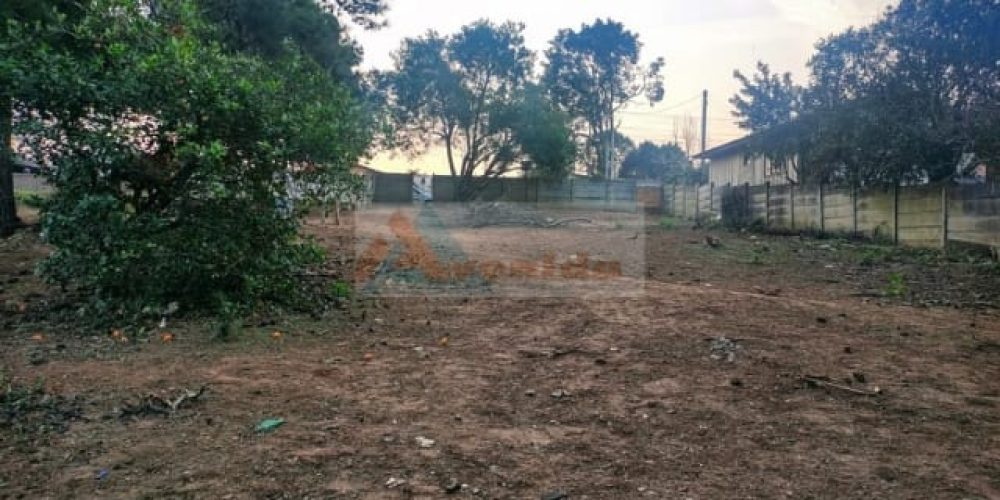 WhatsApp Image 2026-02-06 at 15.41.08