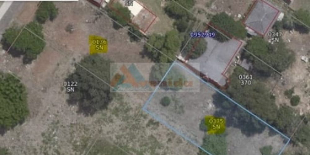 WhatsApp Image 2026-02-06 at 15.41.09