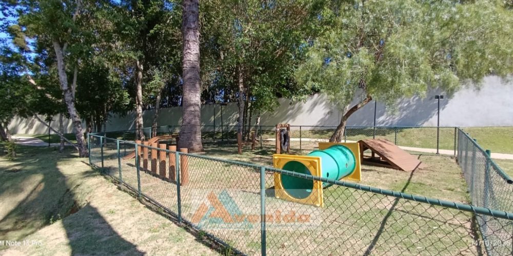 WhatsApp Image 2026-02-12 at 15.05.32