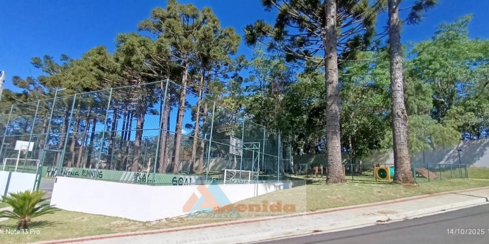 WhatsApp Image 2026-02-12 at 15.05.33 (4)