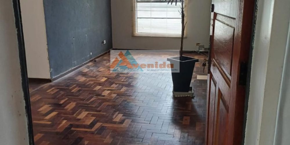 WhatsApp Image 2026-02-20 at 11.26.03