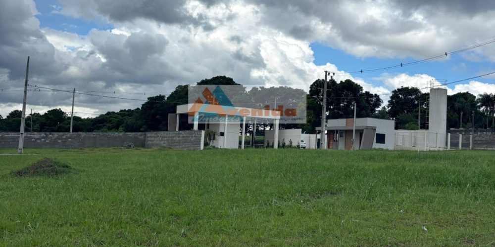 WhatsApp Image 2026-02-27 at 16.12.58