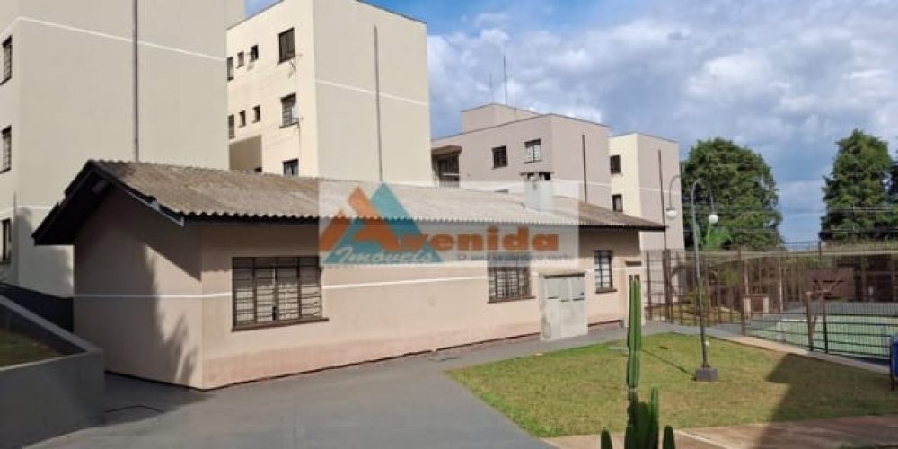 WhatsApp Image 2026-03-10 at 13.49.13