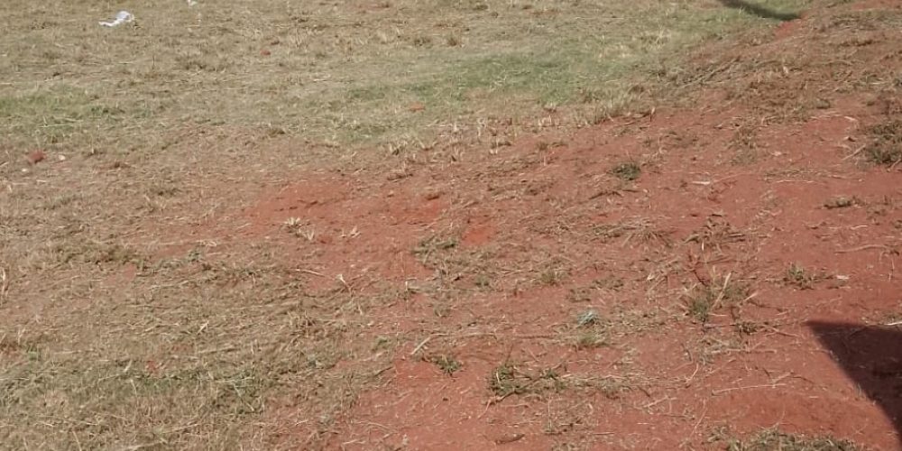 WhatsApp Image 2026-03-21 at 09.36.46 (2)