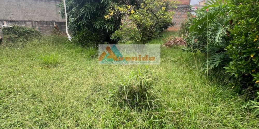 WhatsApp Image 2026-03-23 at 17.51.34 (1)