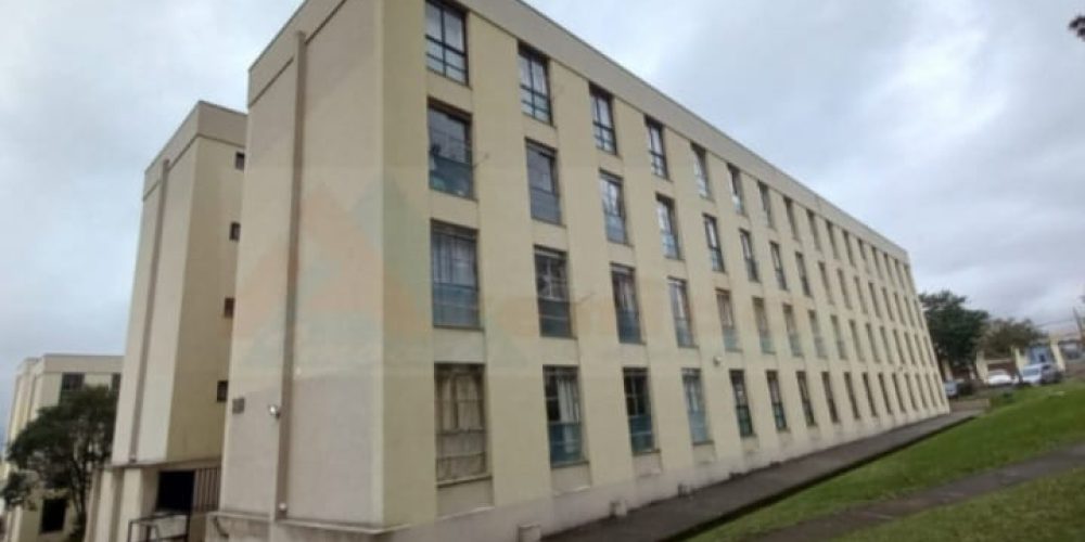 WhatsApp Image 2026-03-25 at 17.04.39