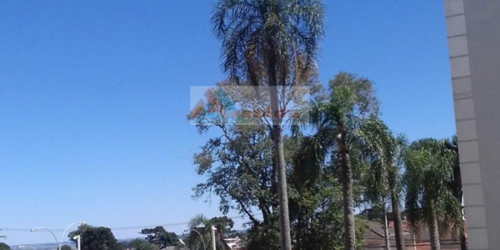 WhatsApp Image 2026-03-28 at 09.27.23