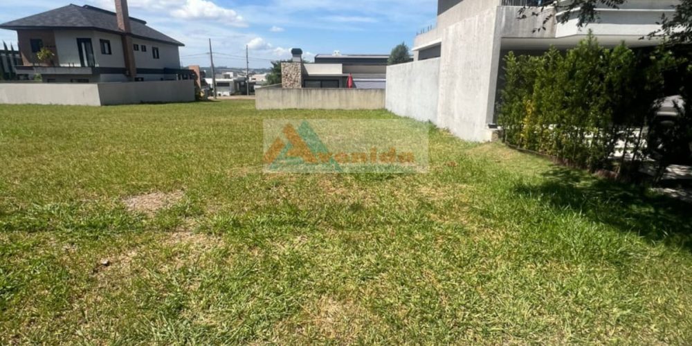 WhatsApp Image 2026-03-31 at 10.06.53