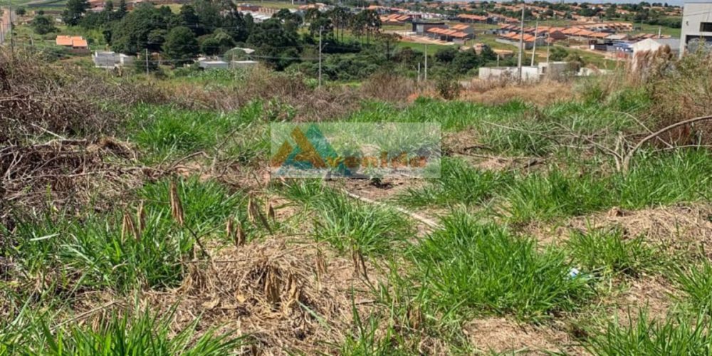 WhatsApp Image 2026-04-13 at 10.44.35