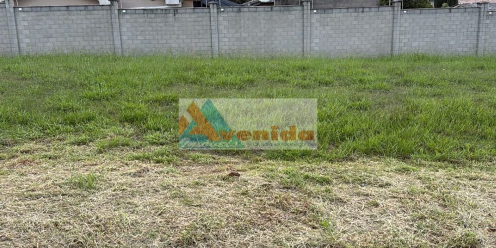 WhatsApp Image 2026-04-20 at 12.17.42 (1)