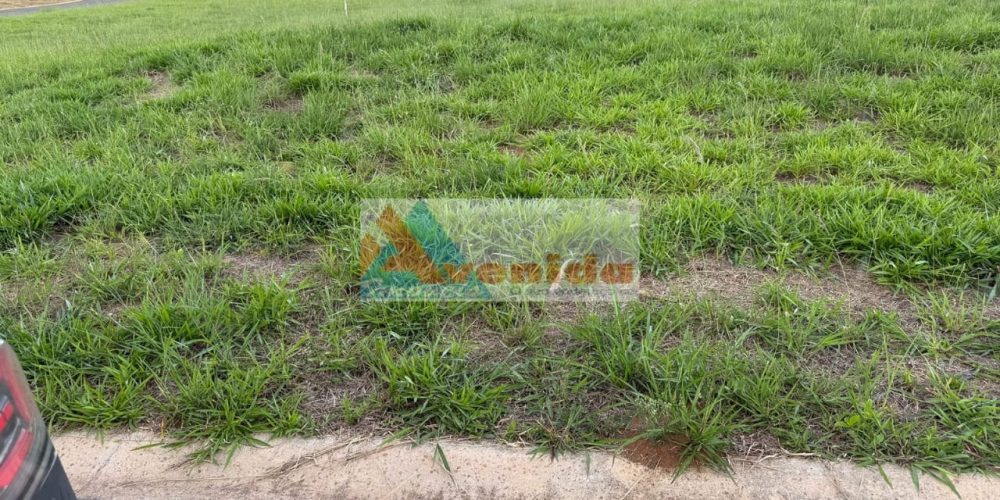 WhatsApp Image 2026-04-20 at 12.17.42