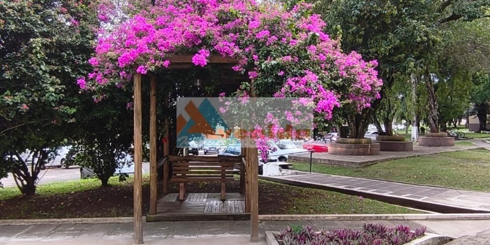 WhatsApp Image 2026-04-24 at 14.04.15 (2)